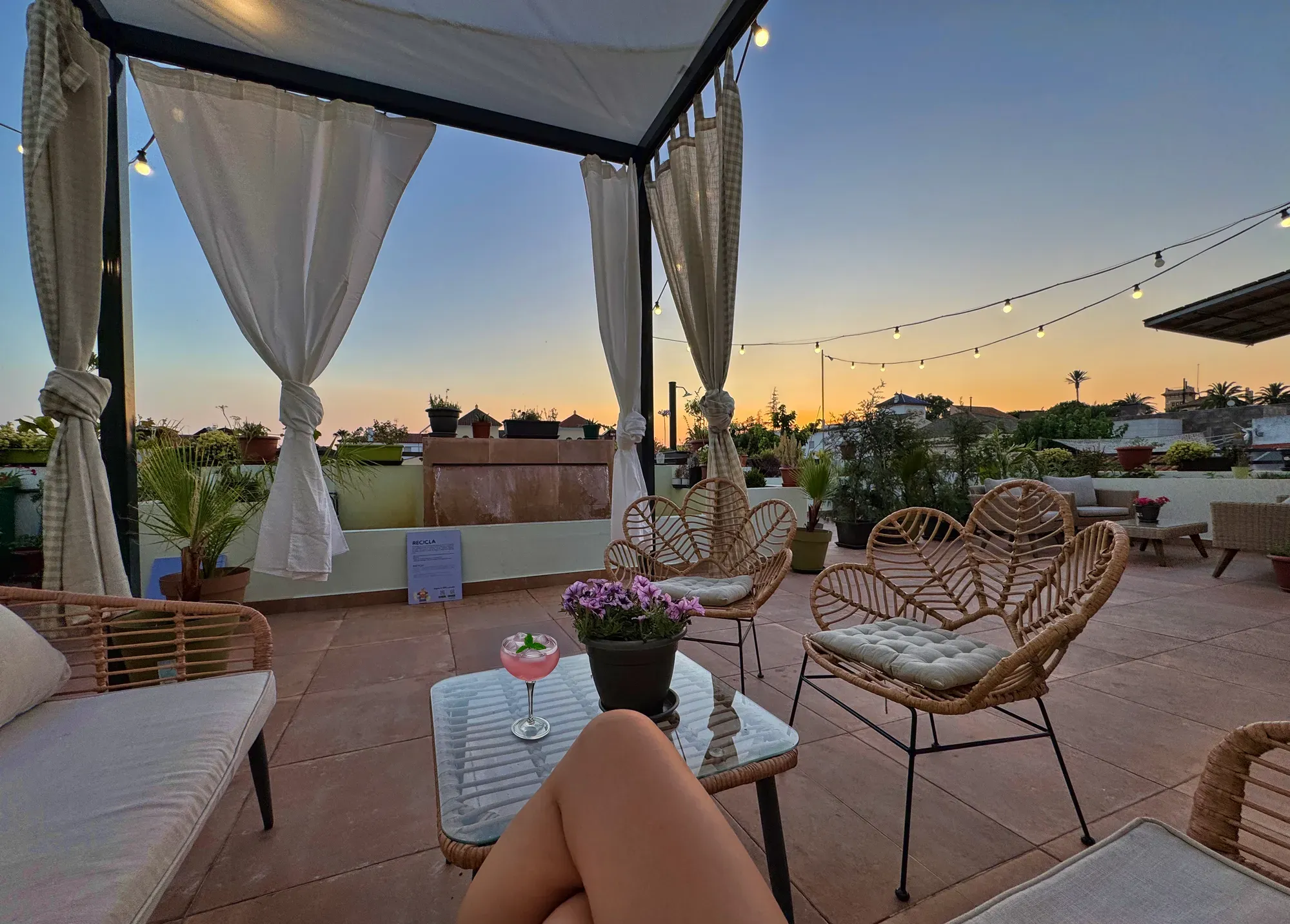 Terraza panorámica Growers