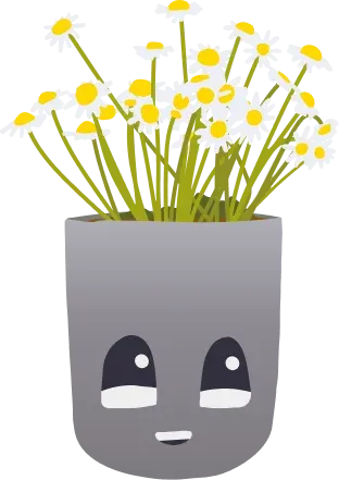 Image Aromatic